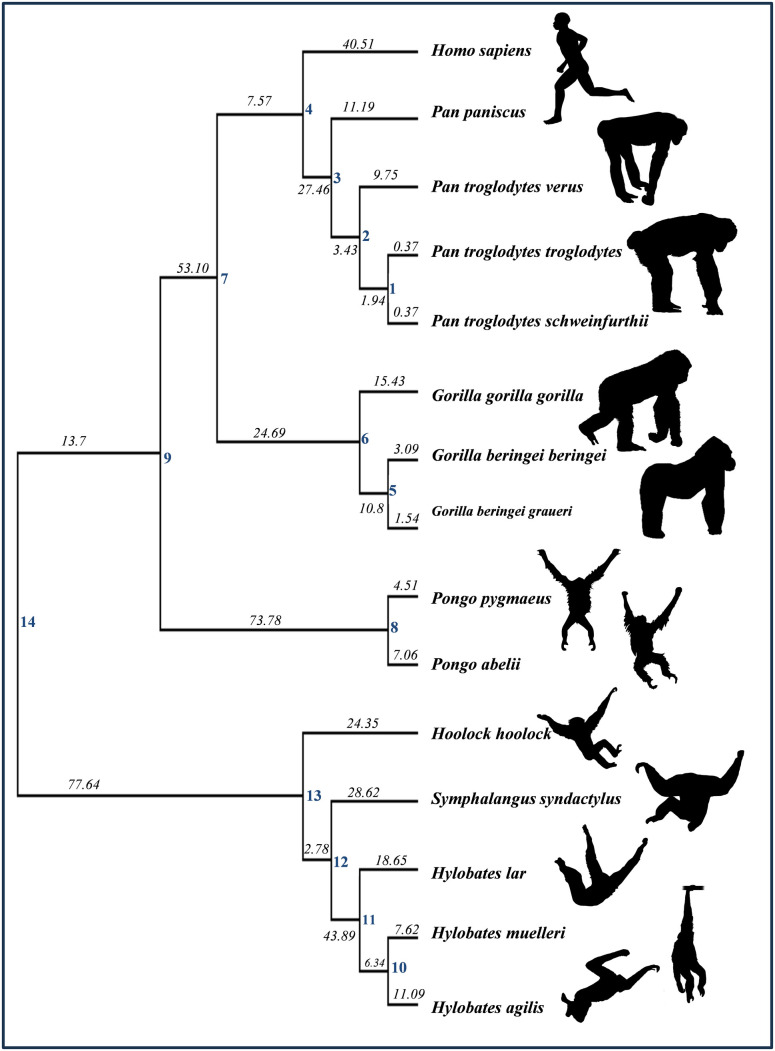 Figure 5