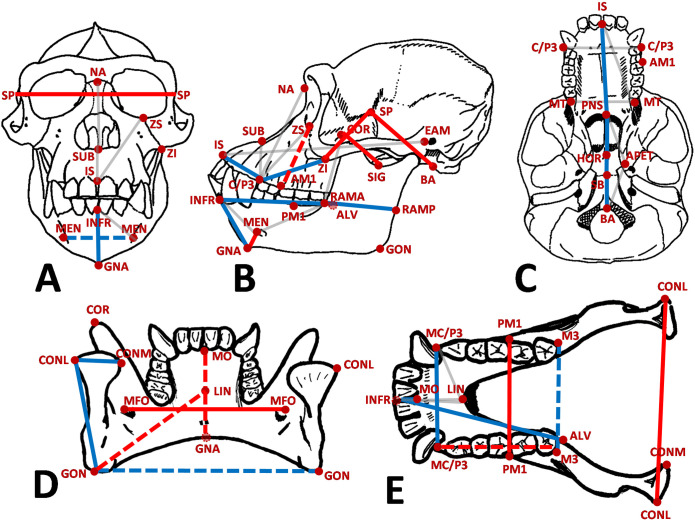 Figure 7