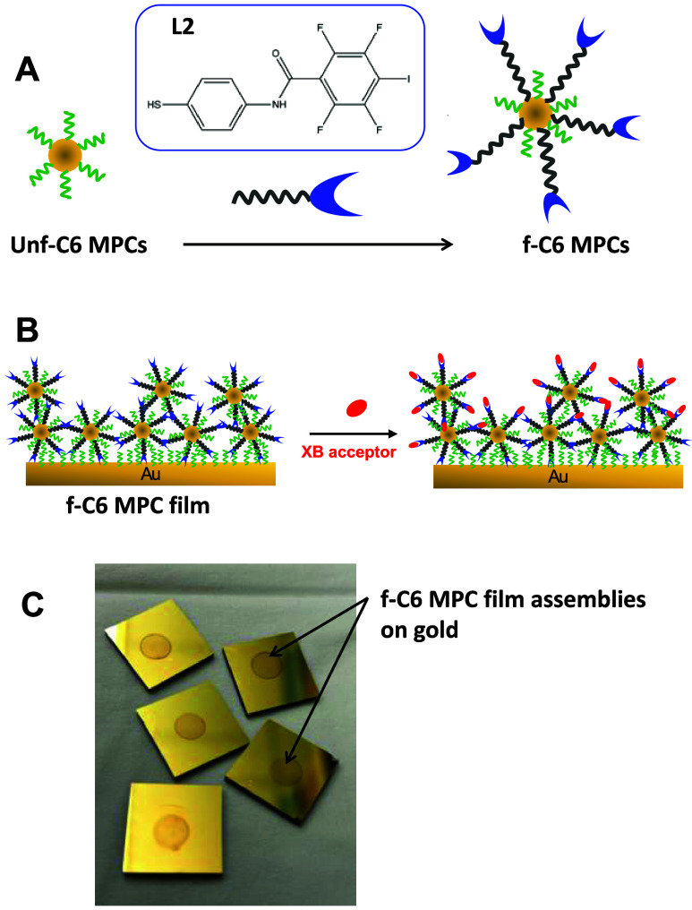 Figure 10