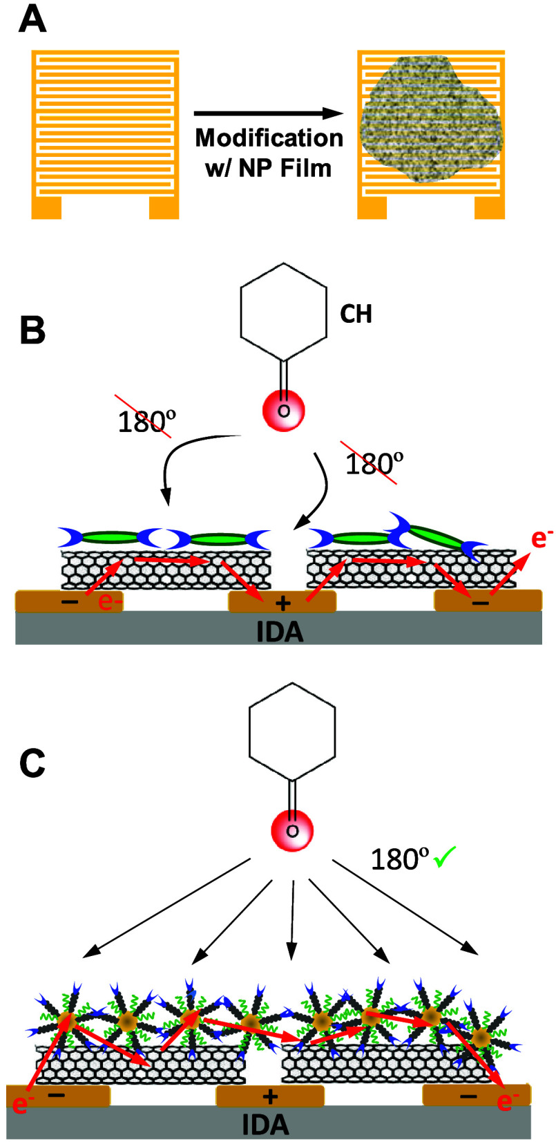 Figure 11