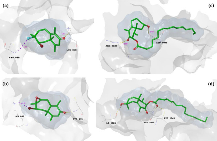Figure 10