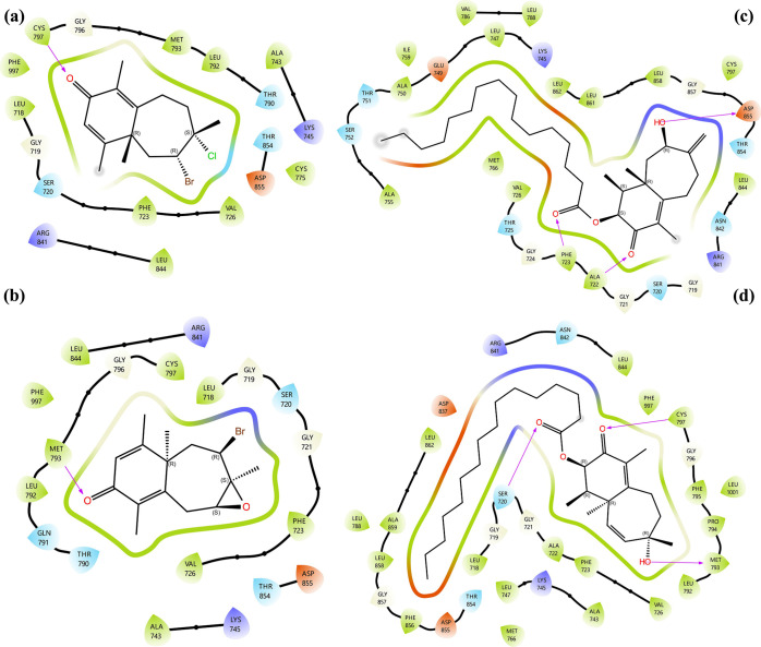 Figure 11