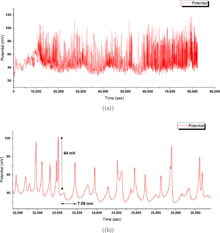 Figure 17