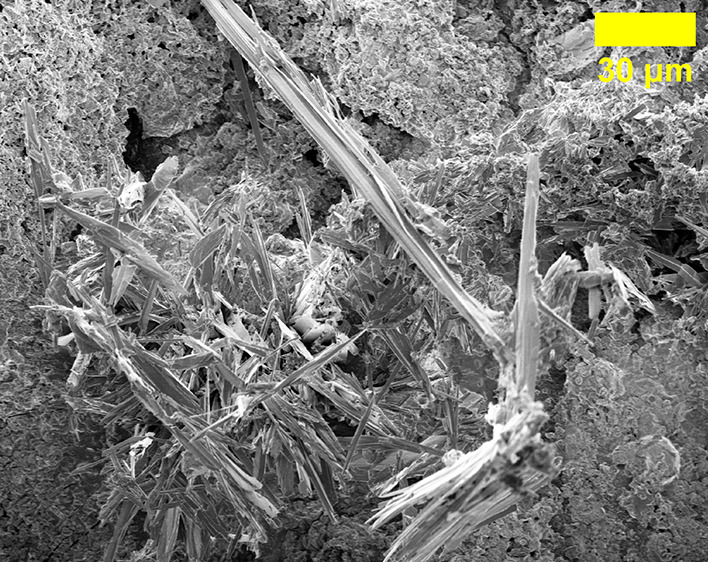 Figure 28
