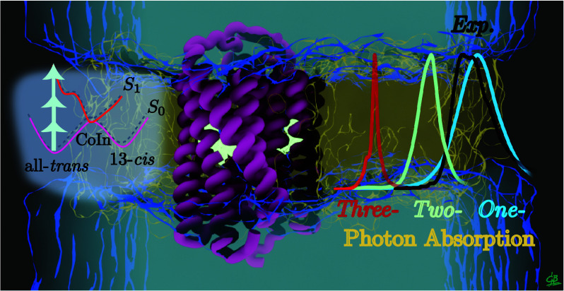 Figure 17