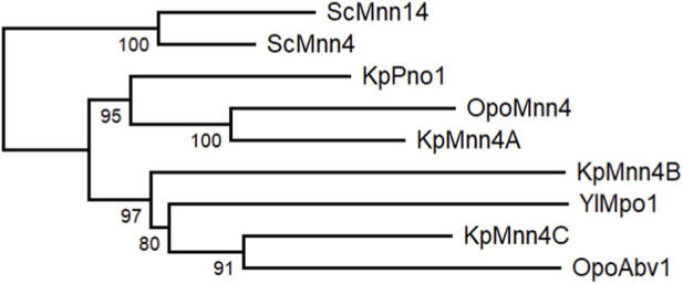 Figure 6