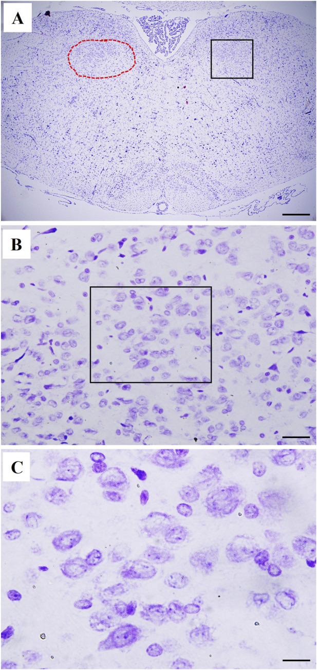 Figure 9