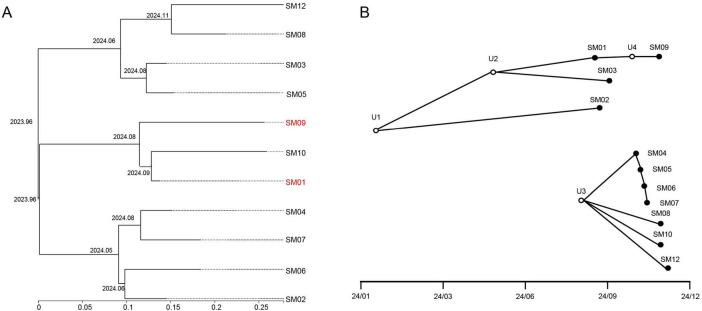 Figure 5