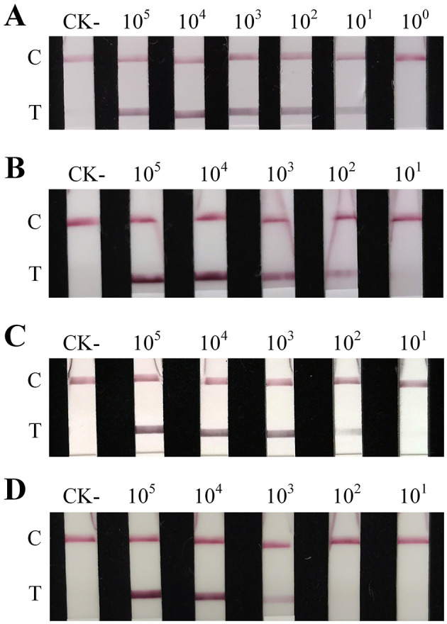 Figure 4
