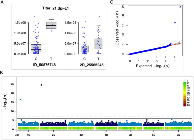 Figure 10