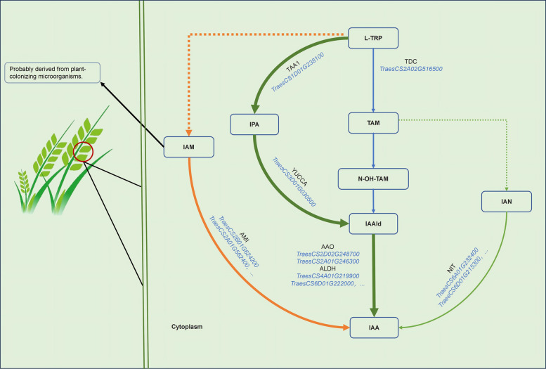 Figure 2