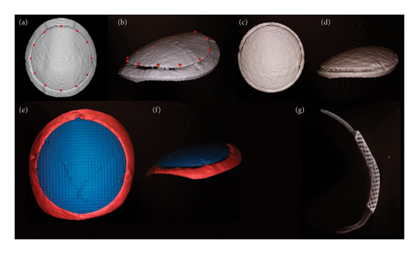 Figure 8
