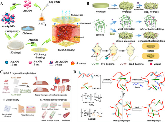 Figure 10