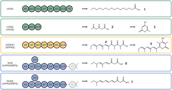Figure 5