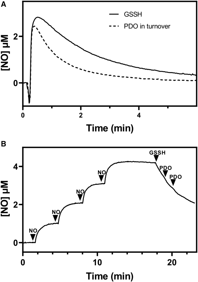 Figure 8