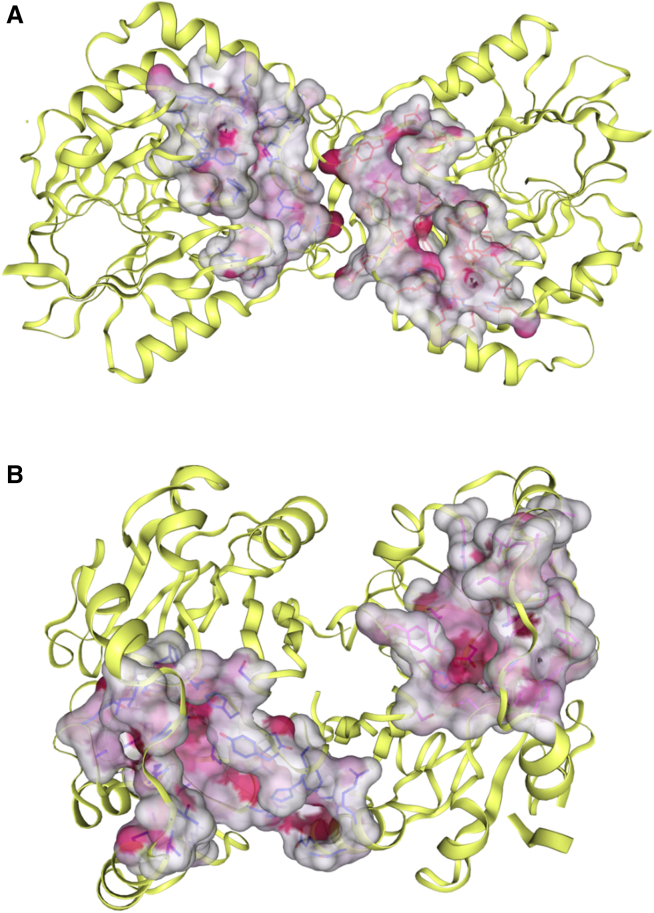Figure 9