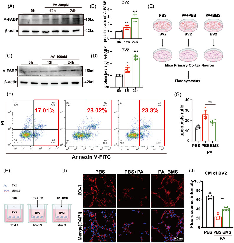 Figure 8