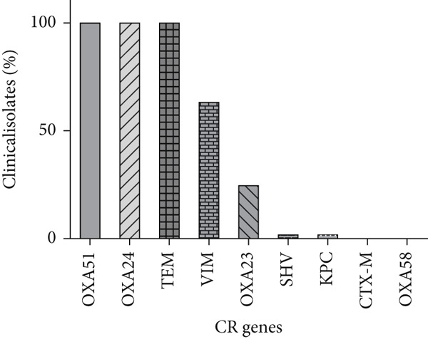 Figure 5