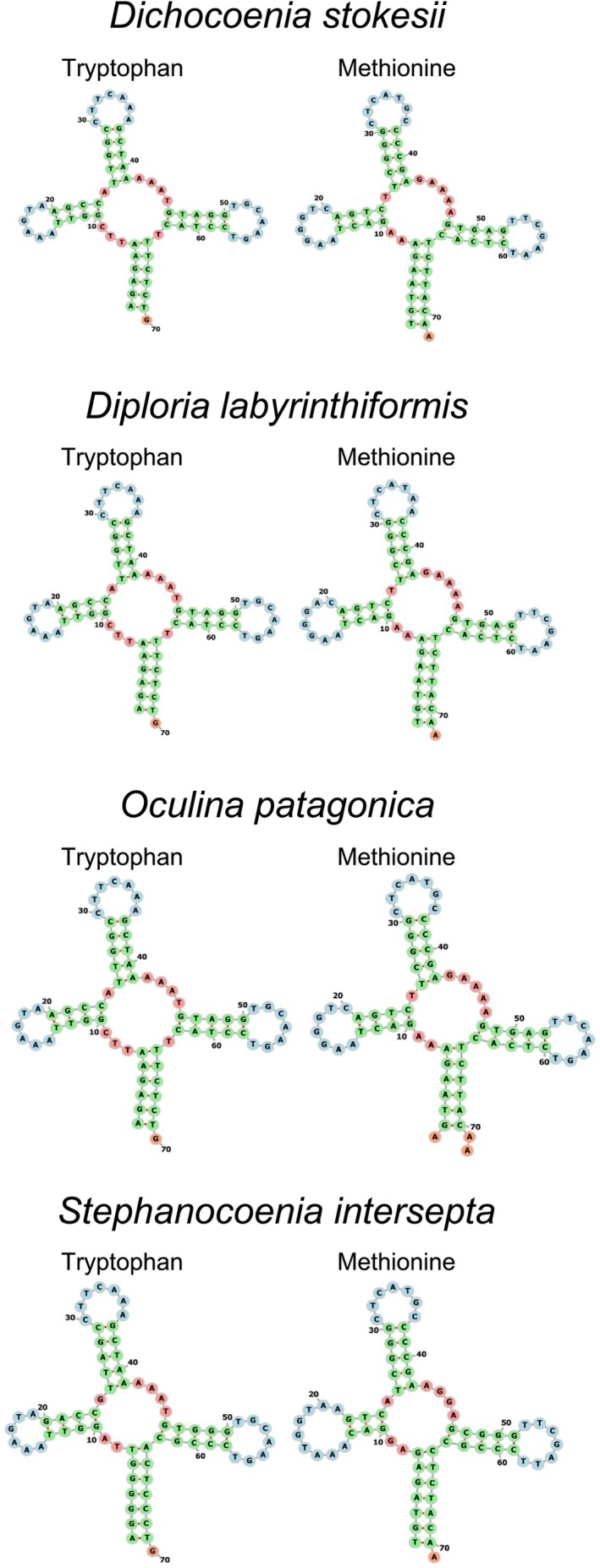Figure 5