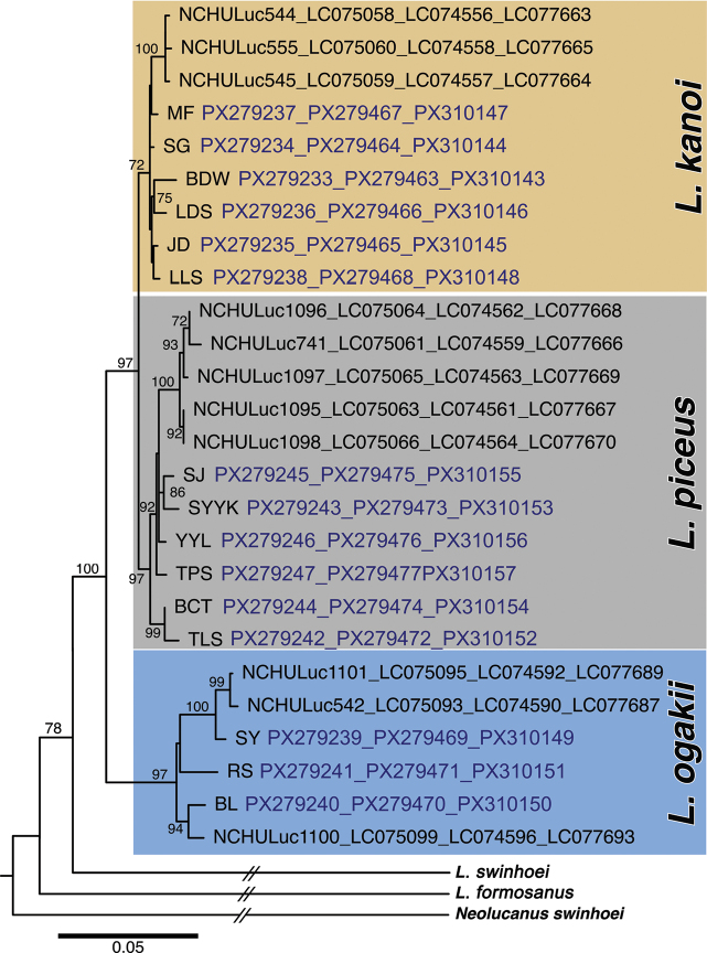 Figure 5