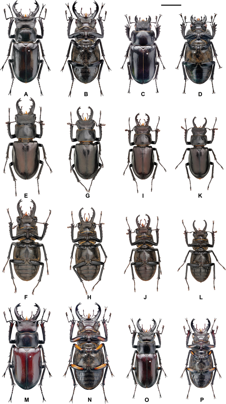 Figure 9