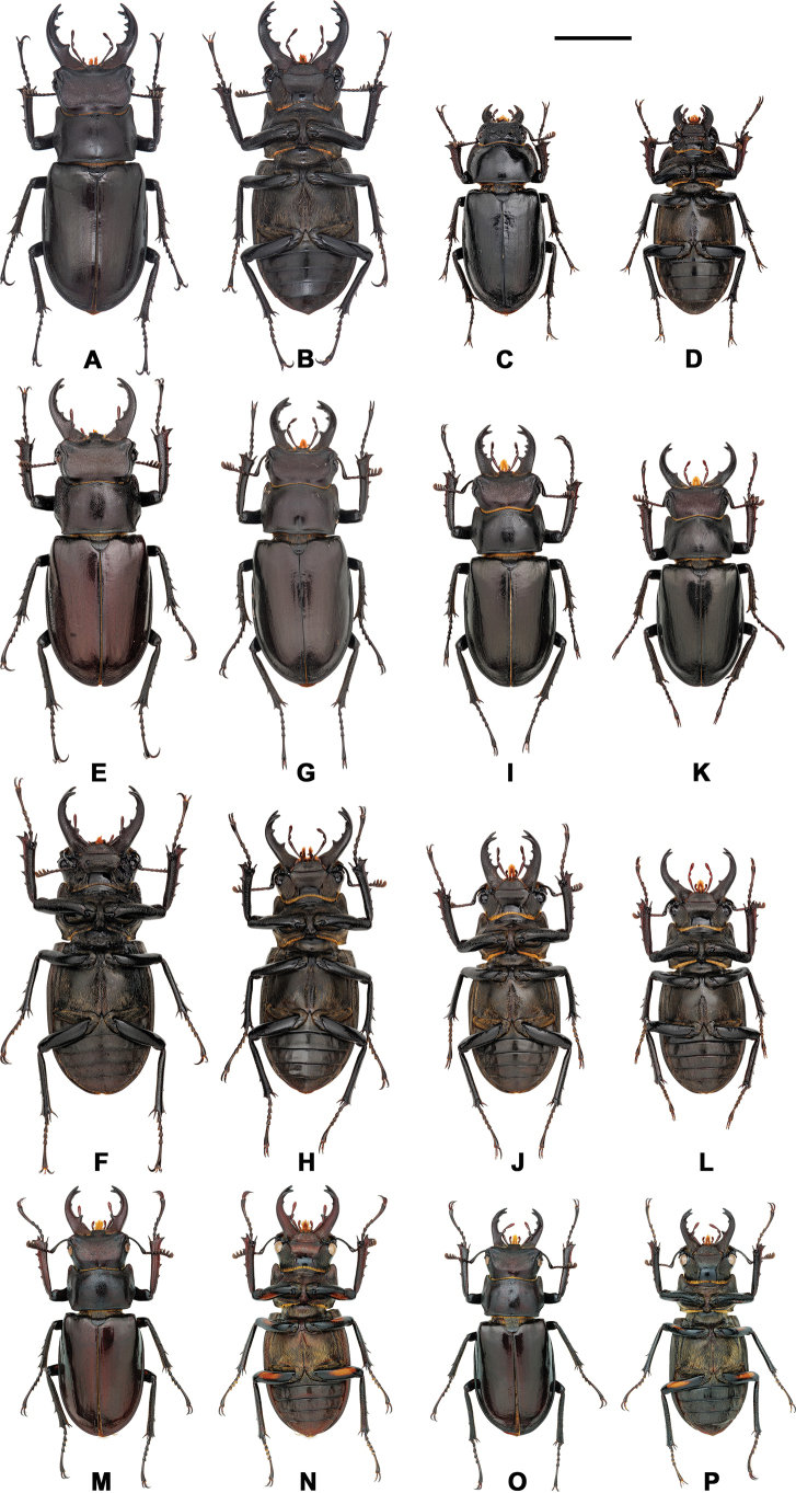 Figure 10