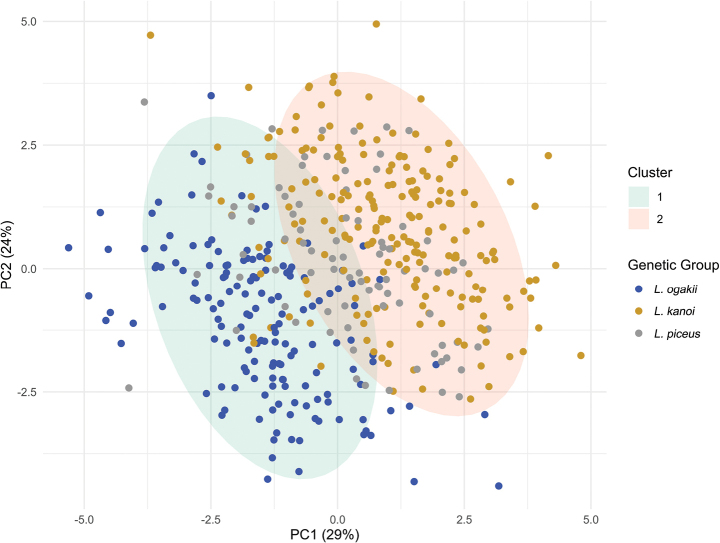 Figure 11
