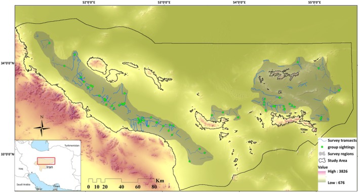 FIGURE 1