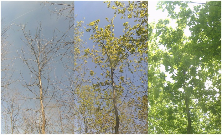 FIGURE 3