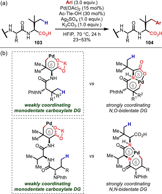 FIGURE 28
