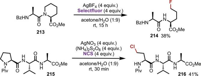 FIGURE 51