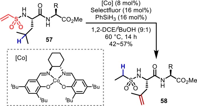 FIGURE 19
