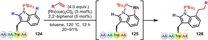 FIGURE 33