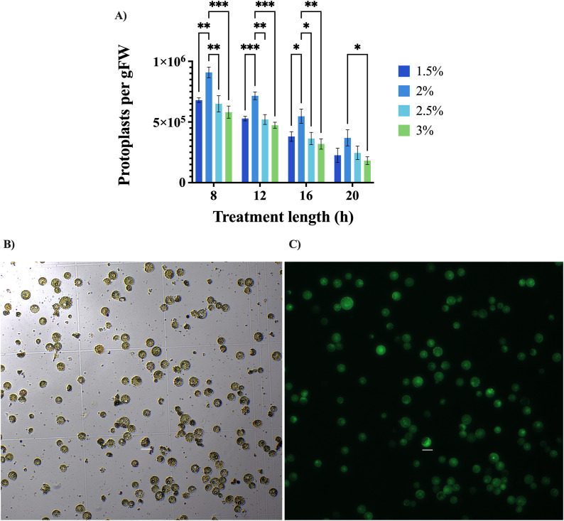 Figure 3