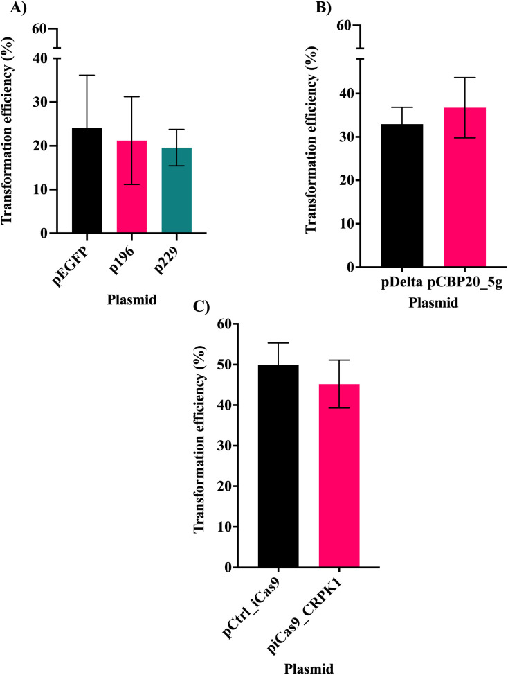 Figure 5