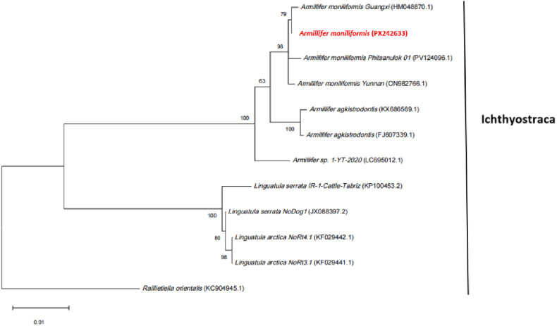 Figure 5