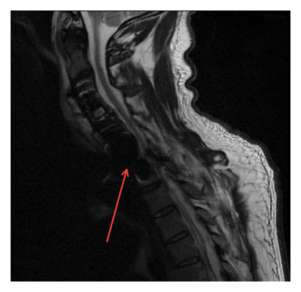 FIGURE 1