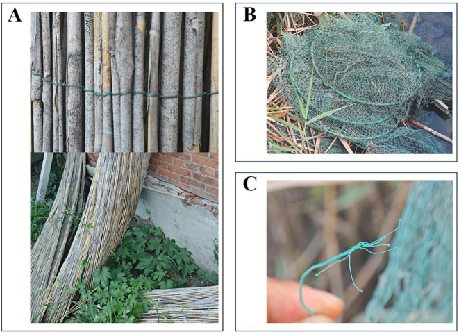 FIGURE 3