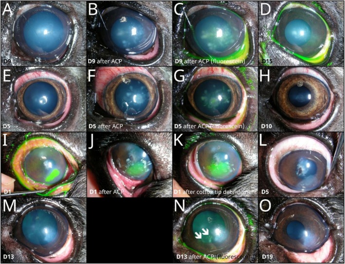 FIGURE 3
