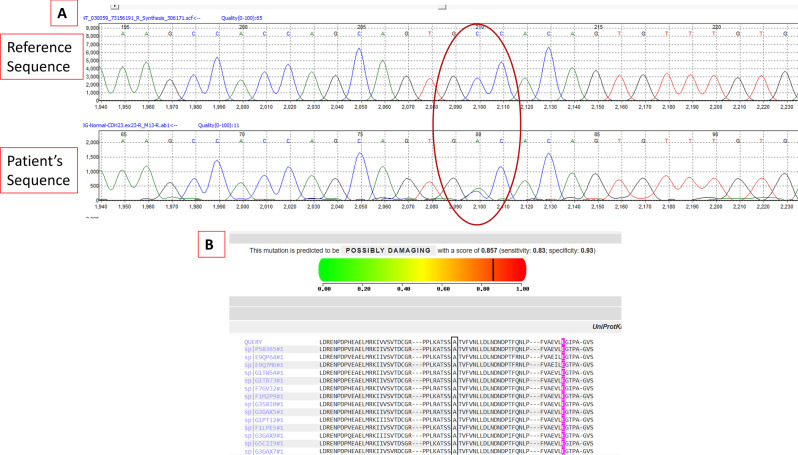 Figure 5