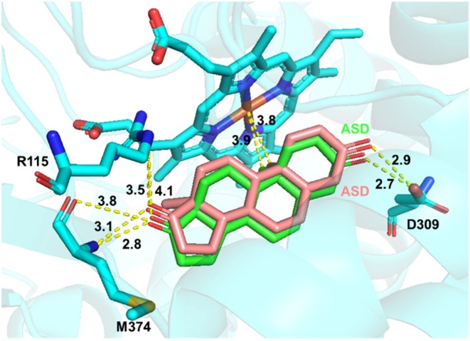 FIGURE 5