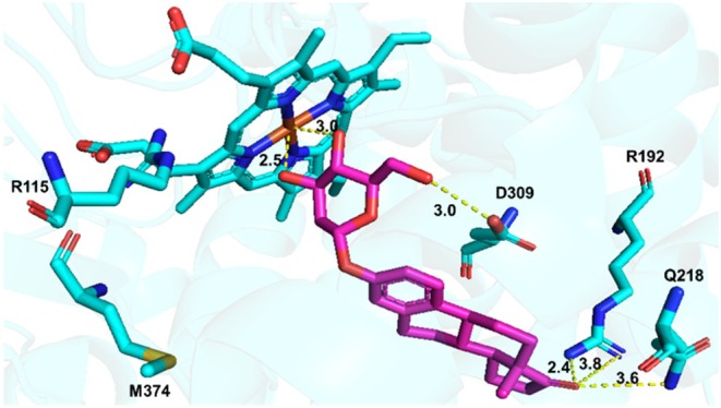 FIGURE 6