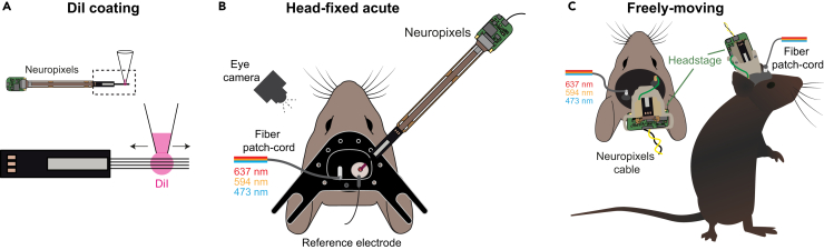 Figure 6