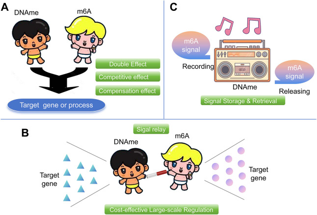 Figure 5
