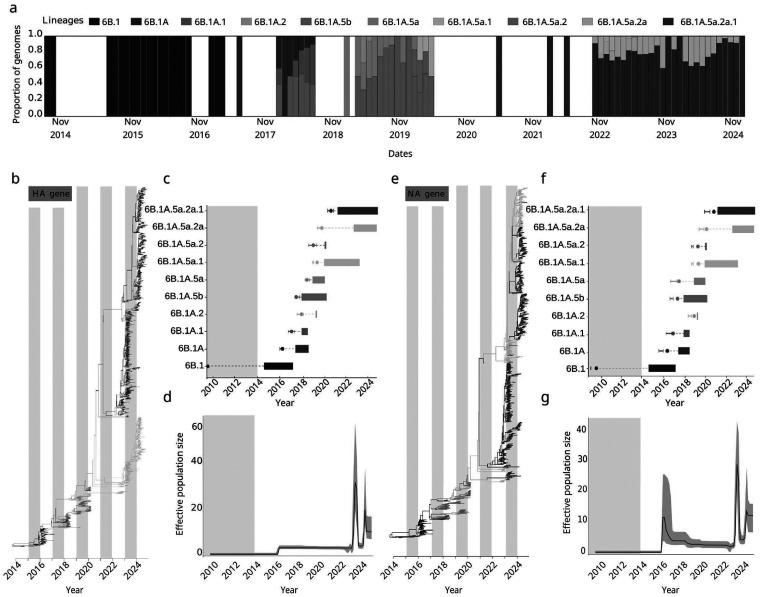 Figure 6
