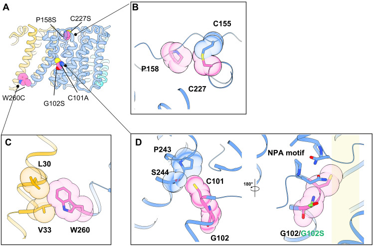 Fig. 4