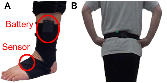 Fig 3