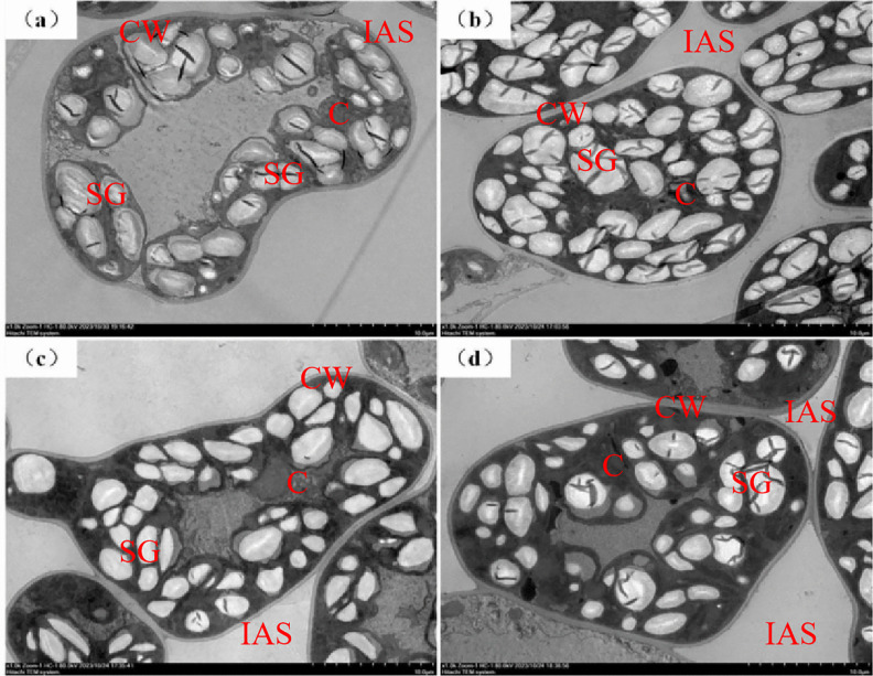 Fig 5