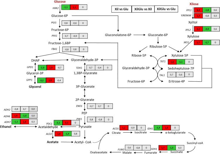 Fig 2