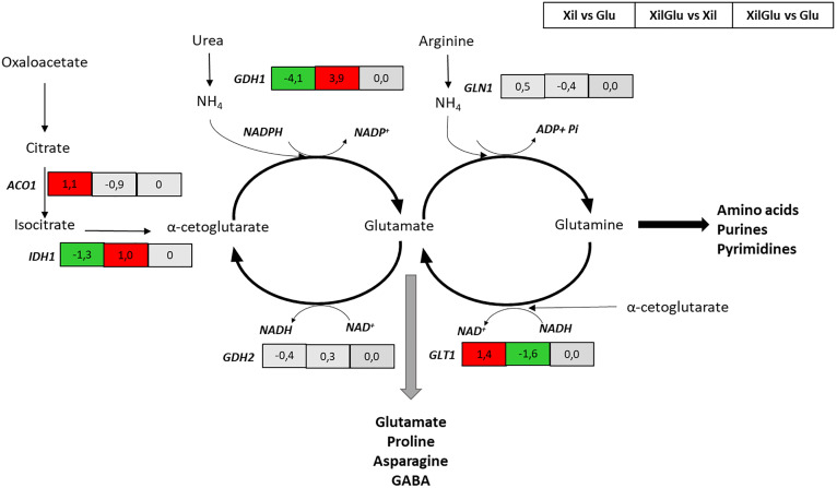 Fig 7